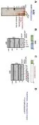Pharmaceutical composition for treating cancer comprising polypeptide derived from Mycobacterium tuberculosis Representative drawing