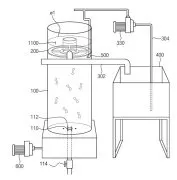 Seaweed farming system using plasma Representative drawing