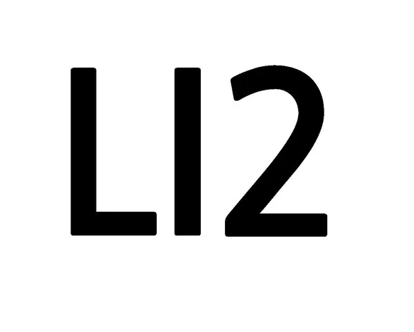 LI2 Mark
