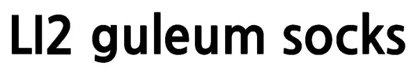 LI2 guleum socks Mark