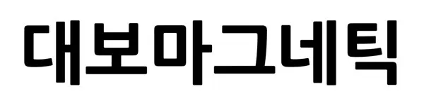 대보마그네틱 Mark